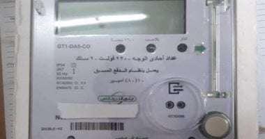 ادفع فاتورة الكهرباء أونلاين بدءا من غد 10 يونيو لتجنب تراكم المديونيات