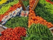 أسعار الخضروات اليوم الخميس 12-6-2025 فى الإسماعيلية  